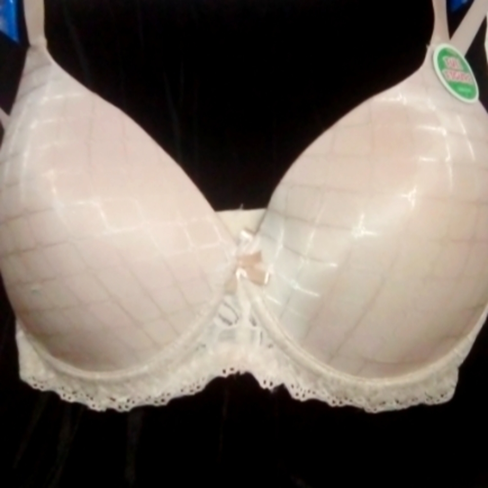 Full Figure Bra